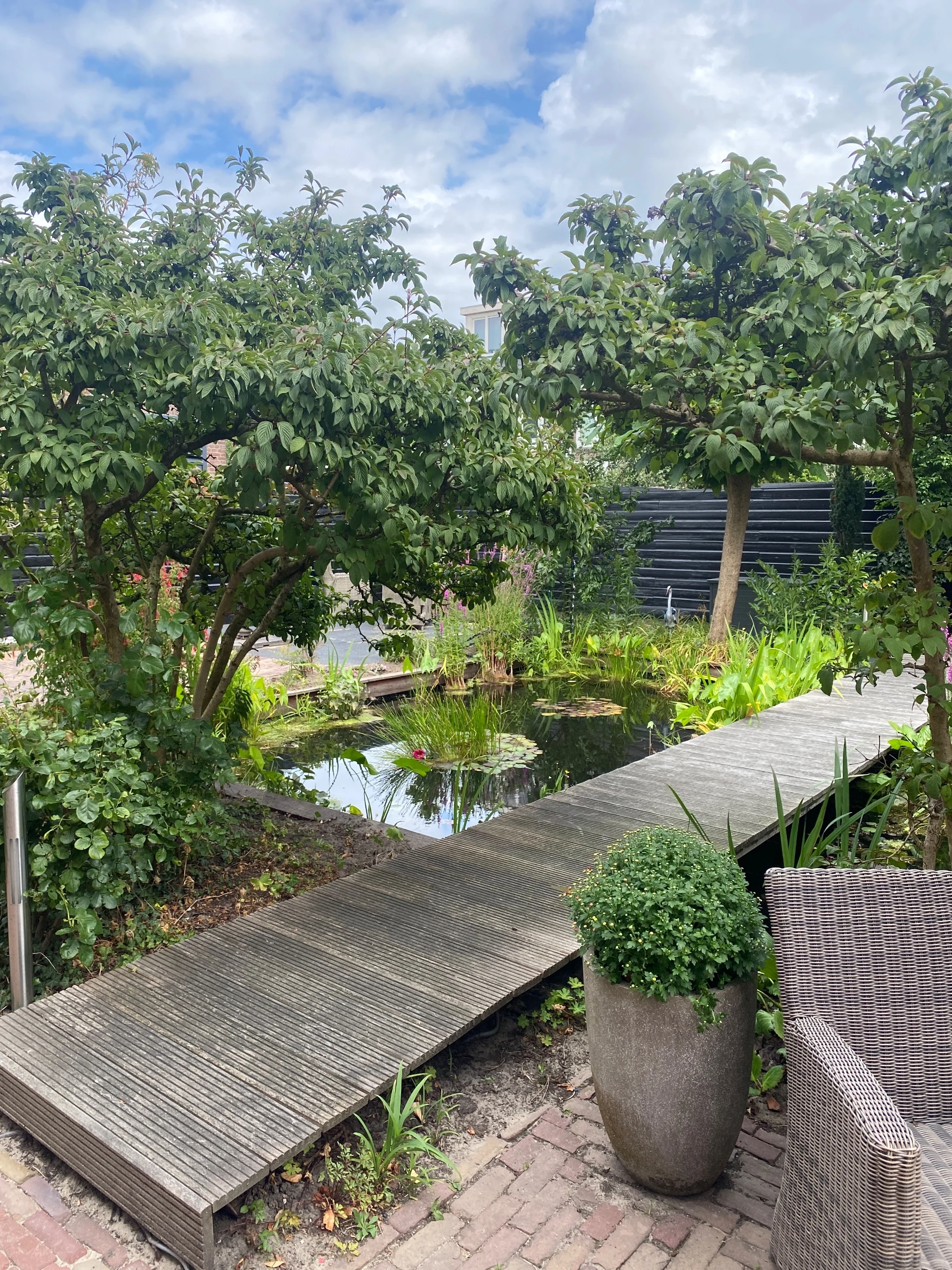 Casa Orion